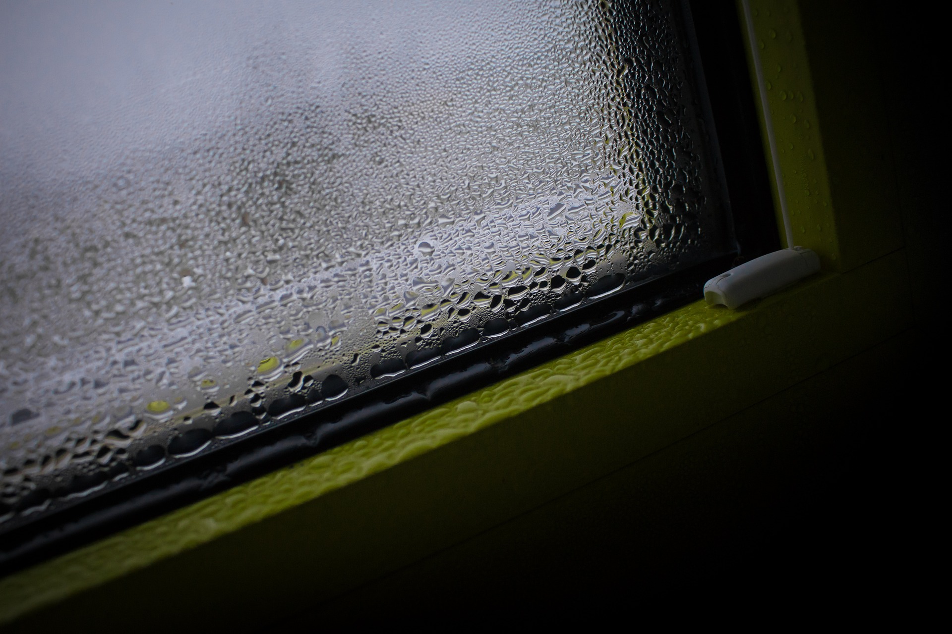 Schimmelbildung in der Mietwohnung - Was Vermieter nun wissen müssen! Fenster Wand Feuchtigkeit Wasser Tropfen